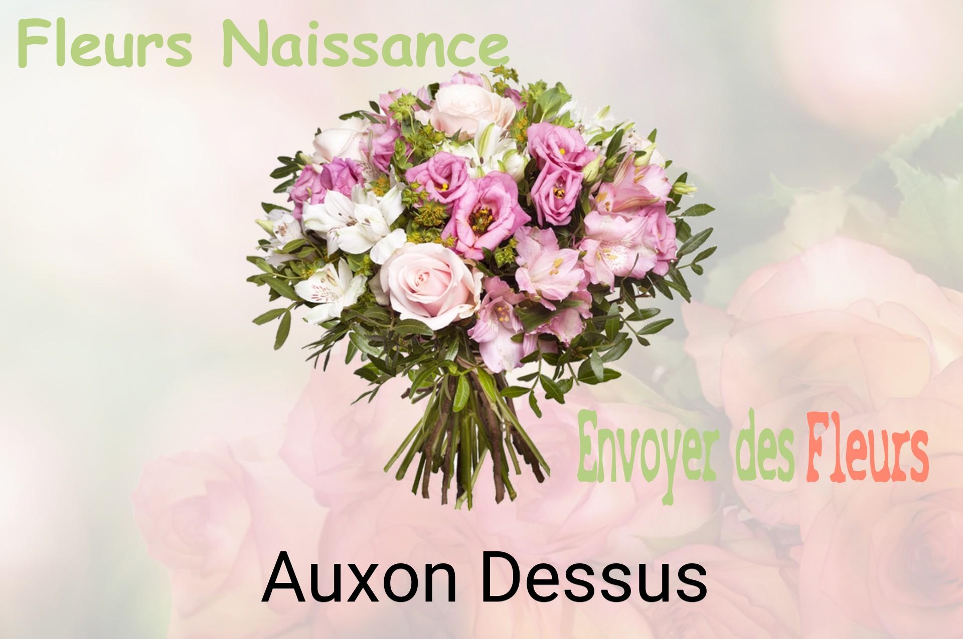 Bouquet de fleurs de naissance livré à Auxon-Dessus